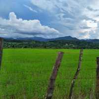 เมืองคอง ชุมชนเล็กๆ ที่มอบความสุขแก่ผู้มาเยือน