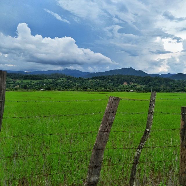 เมืองคอง ชุมชนเล็กๆ ที่มอบความสุขแก่ผู้มาเยือน