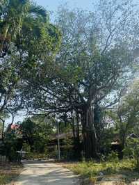 ทำบุญ ไหว้พระ | วัดศรีบูรพาราม ตราด
