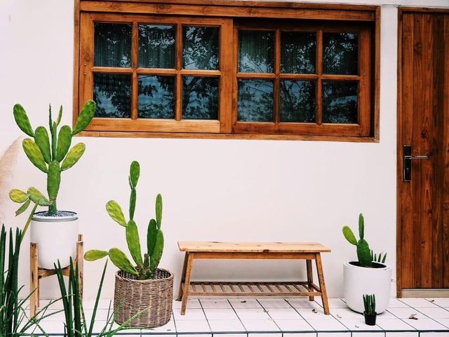 คาลิน Calin Cafe​ 🏠🌿