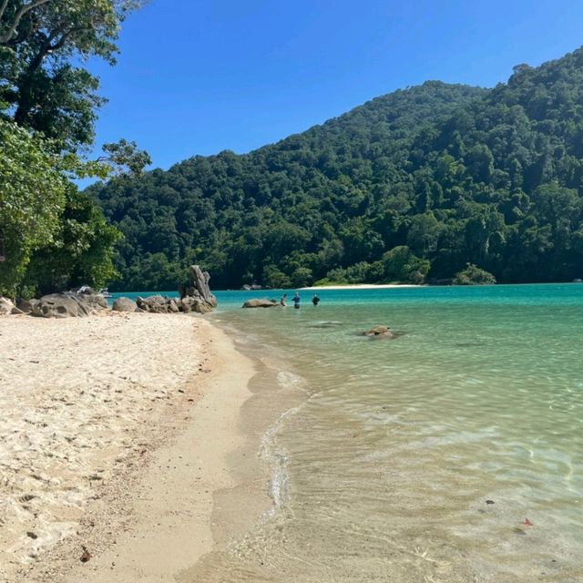 หน้าร้อนแล้ว ไปดำน้ำที่หมู่เกาะสุรินทร์กัน 🤿