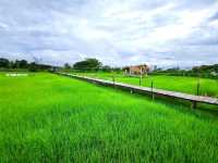 บ้านต้นจาน คาเฟ่ และ Farmstay ในหนองคาย