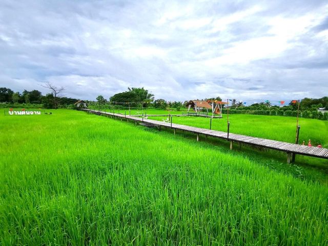 บ้านต้นจาน คาเฟ่ และ Farmstay ในหนองคาย