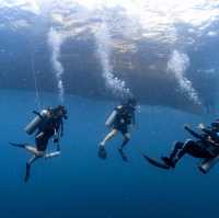 ดำน้ำลึกเกาะเต่า🐋
