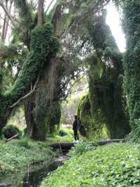 Perth 珀斯秘密花園(Secret Garden) | 世外桃源的景色