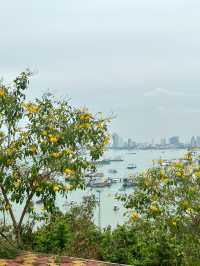 City Coffee Pattaya Point View