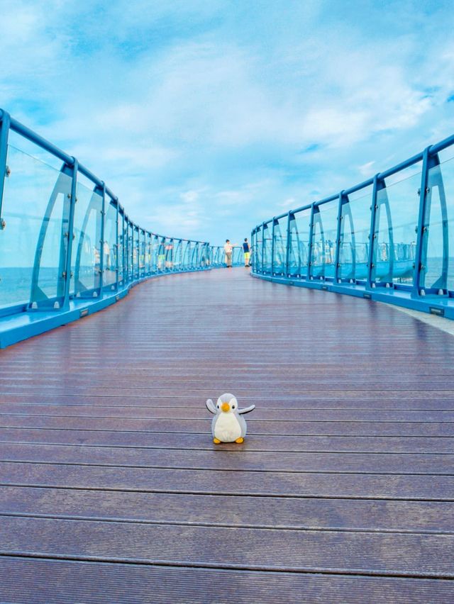 시원한 파도뷰를 만날 수 있는 곳🌊