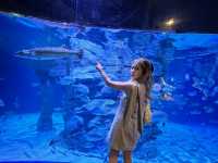 Aquarium​ Phuket ที่ใหญ่ที่สุดในประเทศไทย​