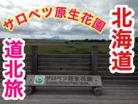 北海道　北海道観光　北海道らしい風景　サロベツ原生花園で和む！
