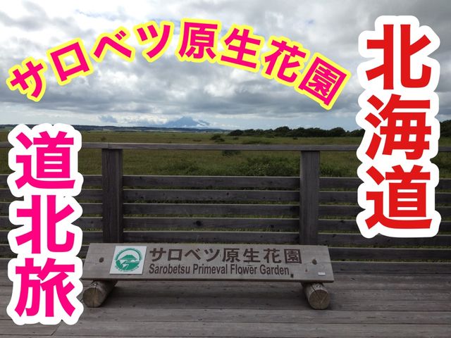 北海道　北海道観光　北海道らしい風景　サロベツ原生花園で和む！