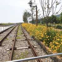 Rail bike by the water