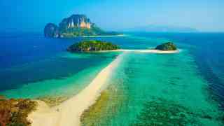 【1ペア】ローディファー（アンダマン島） アンダマン・ニコバル諸島のおすすめ観光スポット2025年（12月更新