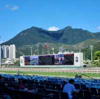 香港必黎景點-沙田馬場一日體驗游