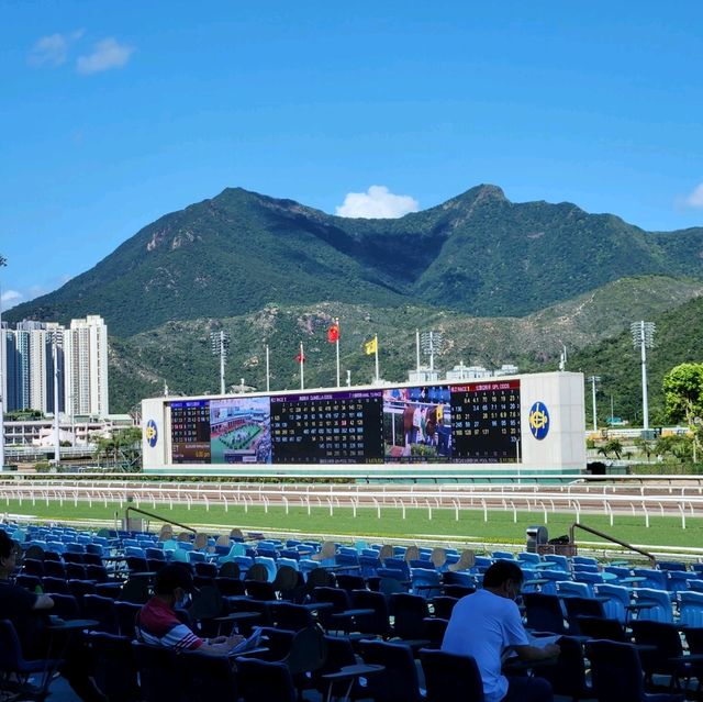 香港必黎景點-沙田馬場一日體驗游
