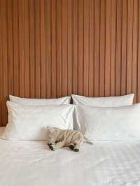 K Maison Lanna Boutique - โรงแรมสวยกลางเมือง