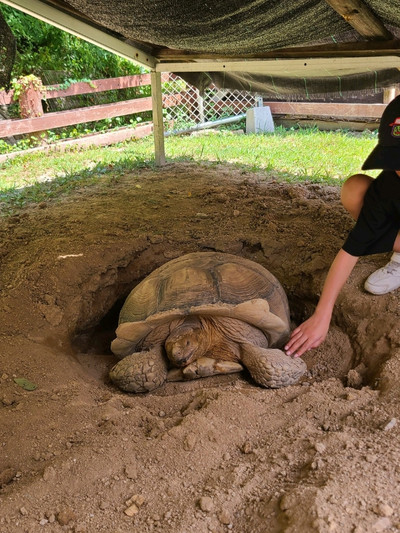 京都】道の駅にある小さな動物園 | Trip.com 京丹後