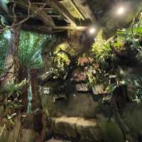 A treat to the senses@National Orchid Garden