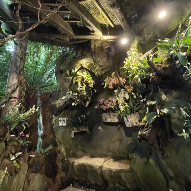 A treat to the senses@National Orchid Garden