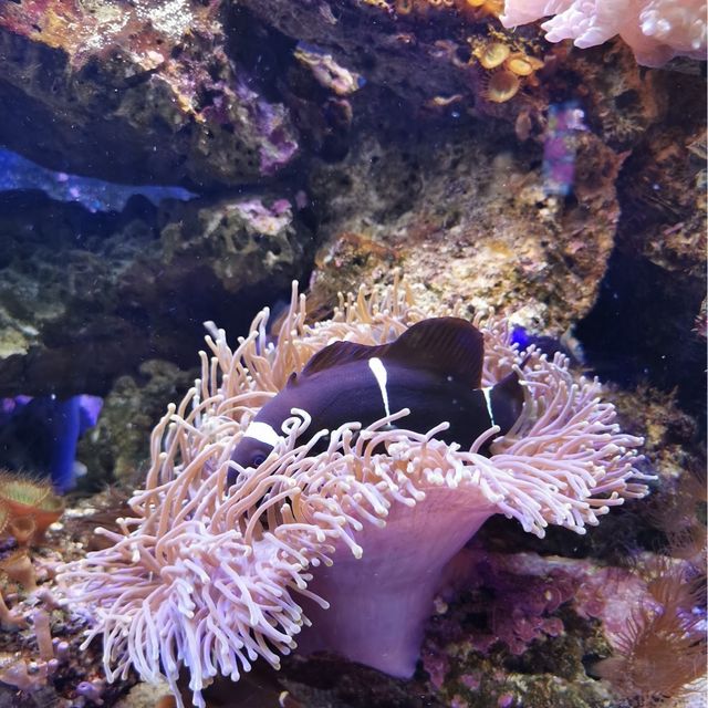 Underwater World Langkawi