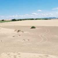 Camel Riding in Elsen Tasarkhai Sand Dune