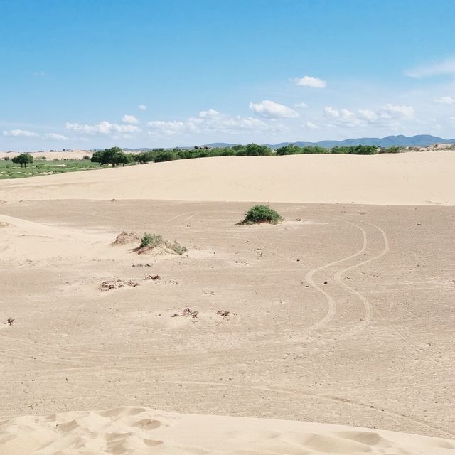 Camel Riding in Elsen Tasarkhai Sand Dune