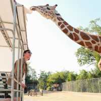 Safari Park, Kanchanaburi บ่อพลอย