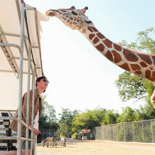 Safari Park, Kanchanaburi บ่อพลอย