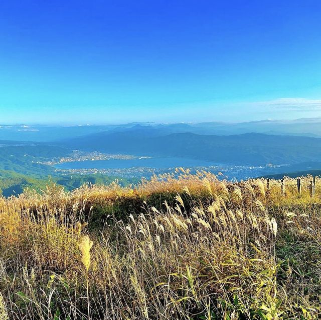 高ボッチ高原
