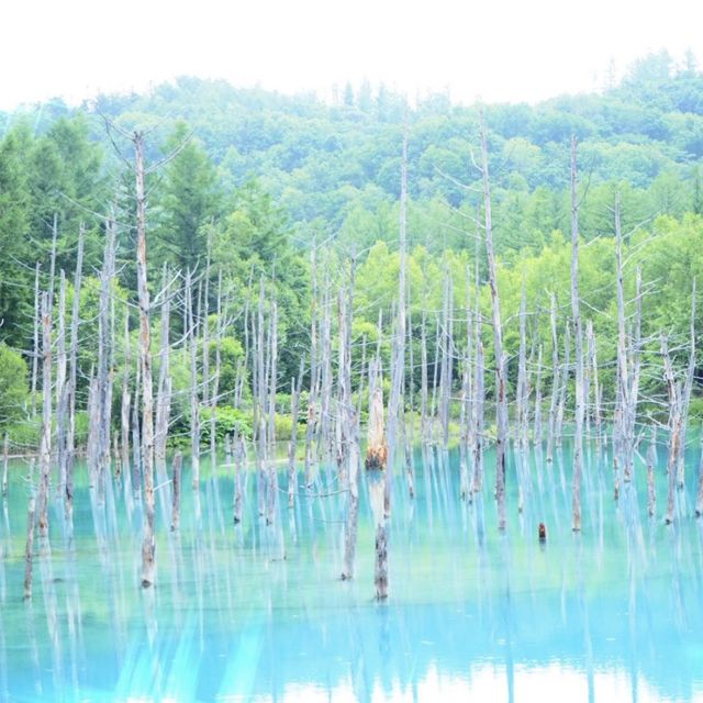 北海道　ひとり旅