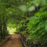The Beauty of Iljasan Herb Astronomy Park