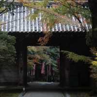 🍁🏯 中將庵～禪意自然日式庭院，紅葉美景如詩！🌿🍂🍁