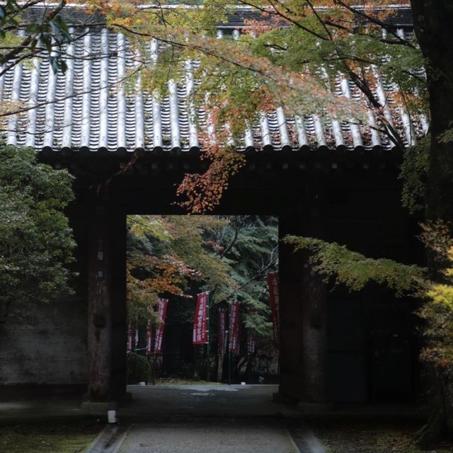 🍁🏯 中將庵～禪意自然日式庭院，紅葉美景如詩！🌿🍂🍁