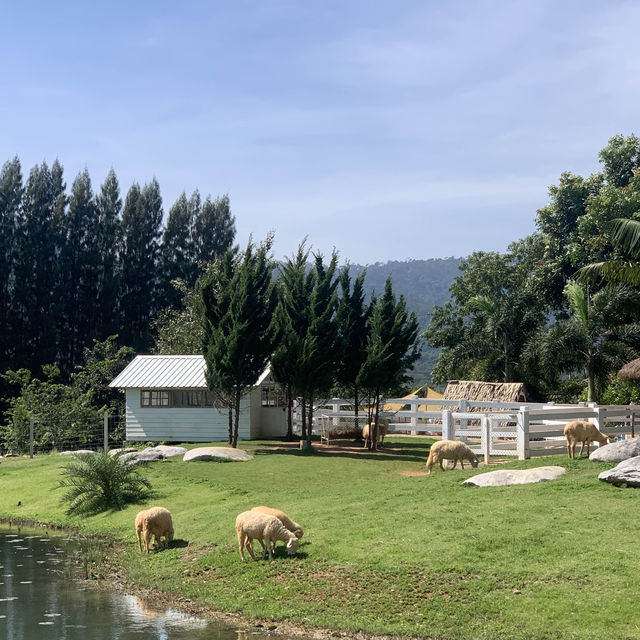 🌳 Bucolic Khaoyai 🌳