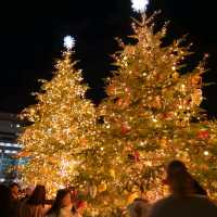 【大阪】てんしばのクリスマスイルミネーション