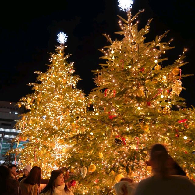 【大阪】てんしばのクリスマスイルミネーション