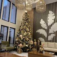 Luxurious Staying awaits you on Christmas