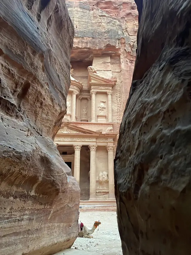 佩特拉古城 Petra | 世界新七大奇蹟之一 🌹