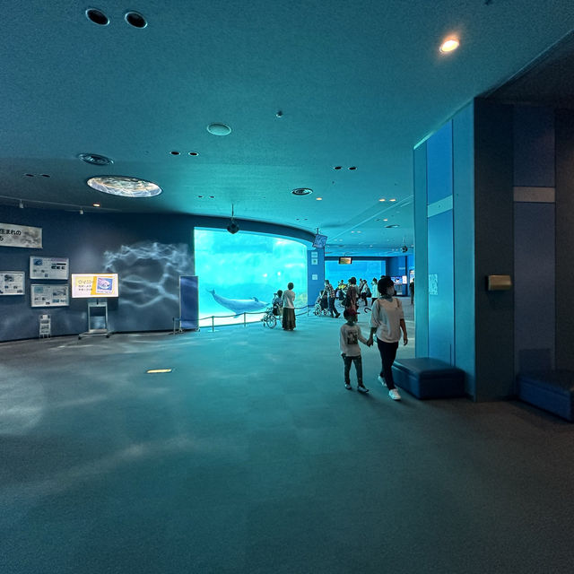 Fun filled time at Nagoya Port Aquarium 