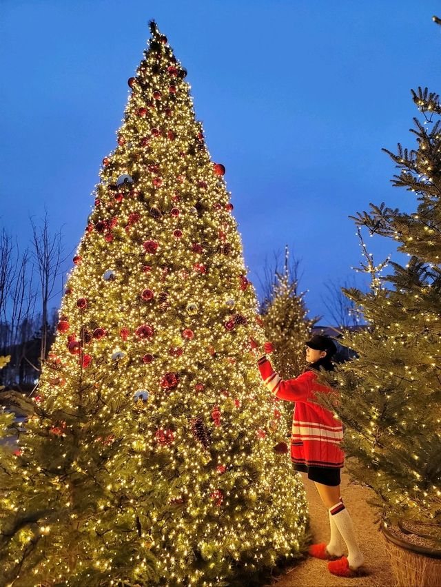 크리스마스 경주 트리맛집으로 핫했던 라한셀렉트경주🎄