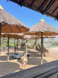 เที่ยวกรุงเทพ One Day Trip สวนสัตว์ ซาฟารีเวิลด์ 