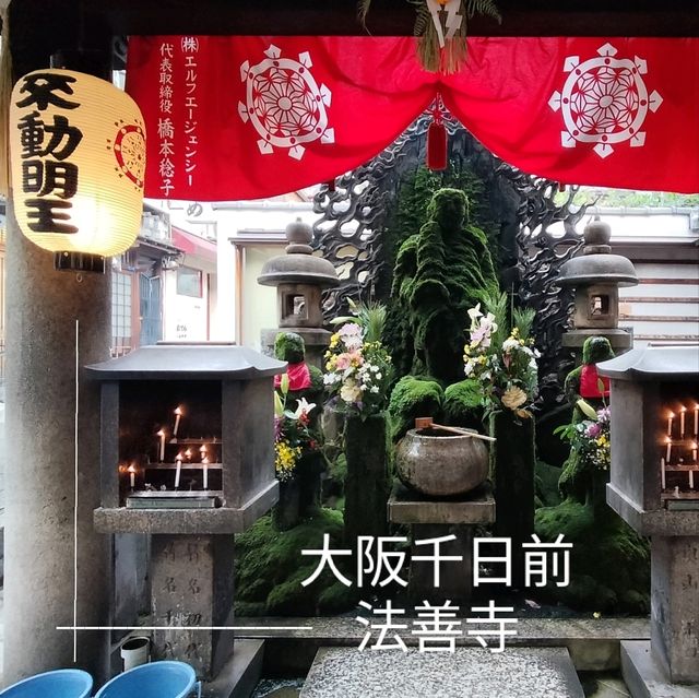 【大阪観光】厳選大阪観光スポット✨千日前法善寺