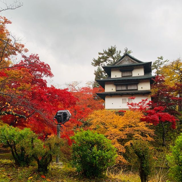 Hirosaki park on Nov2023