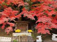 Eigen Temple.(Autumn maple leaves temple.)