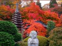 Eigen Temple.(Autumn maple leaves temple.)