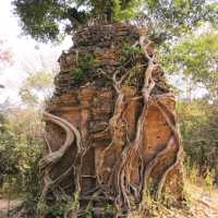 Prasat Sambor Prei Kuk The Ancient Temple