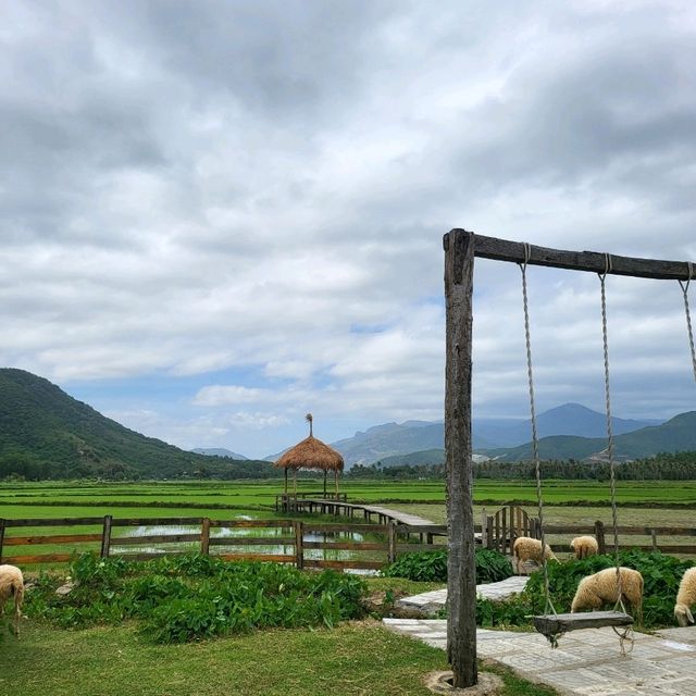 베트남 나트랑 여행의 귀여운 마스코트 , 양떼목장 💕