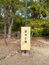 大阪城豊國神社の摂社！若永神社/白玉神社/七夕神社/玉春神社・玉繁神社