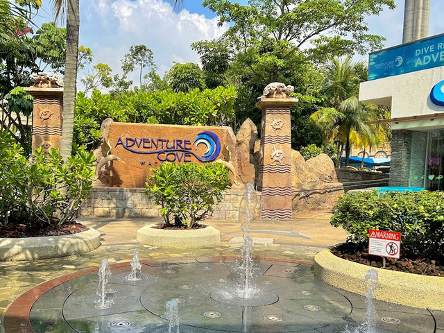 Adventure Cove Waterpark