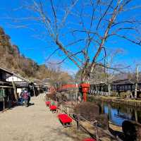 Edo Wonderland Nikko Edomura