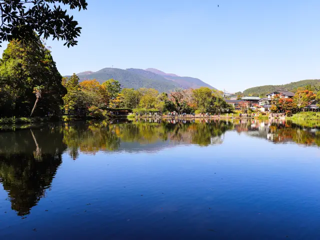 【大分県】 湯布院を代表する自然百景「金鱗湖」